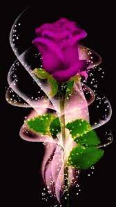 Beautiful Beautiful Rose Flowers Beautiful Flowers Wallpapers Beautiful Roses