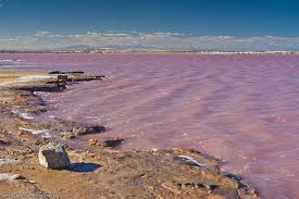 Дело в том, что здесь постоянно проживает или проводит большую часть времени много выходцев из россии и украины. Torreveha