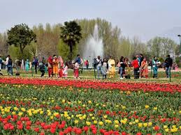 Make sure to check out the most. Tulip Garden Asia S Largest Tulip Garden In Srinagar Open To Visitors The Economic Times