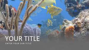 The existence of coral reef provides many benefits toward the live in the ocean yet to the live in the land as well. Free Powerpoint Keynote And Google Slides Video Start Slides You Exec