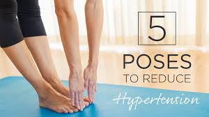 Maybe you would like to learn more about one of these? Yoga To Cure High Blood Pressure Yogawalls