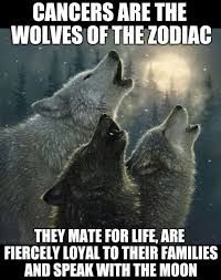 Research showed that spiders like classical music. Cancer Sign Dates Traits More Cancer Quotes Zodiac Cancer Zodiac Facts Zodiac Signs Cancer