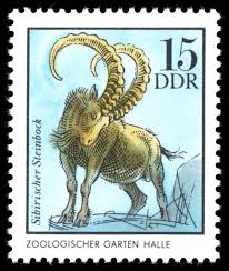 Stamps Of Germany Ddr 1975 Zoologischen Garten Halle Briefmarke Siberischer Steinbock Capra Ibex Siberica Briefmarken Kunst Ddr Briefmarken Briefmarken
