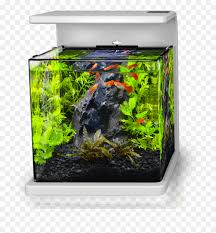As the oldest aquascaping style, the dutch style focuses primarily on the growth and arrangement of aquatic plants. Dragon Stone Aquascape Nano Tank Hd Png Download Vhv