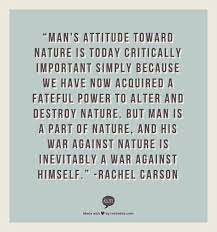Pin By Ecofriendly Link On If Truth Be Told Rachel Carson Quotes Rachel Carson Earth Quotes