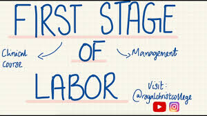 Image result for First Stage of Labor