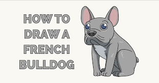 The french bulldog is the result of a cross between toy bulldogs from england, and terriers from paris, france. How To Draw A French Bulldog Really Easy Drawing Tutorial