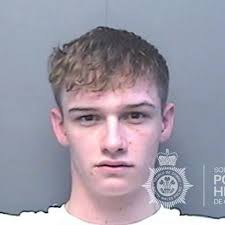 Teen involved in £100,000 car theft gang