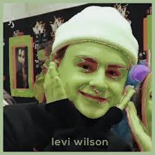 Levi Whitson