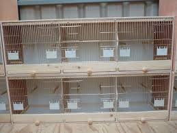 Zebra Finch Breeding Cages Bird Cages Kus Kafesi Muhabbet Kuslari Kafes