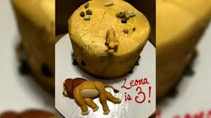 Vitamin c (also known as ascorbic acid and ascorbate) is a vitamin found in various foods and sold as a dietary supplement. Girl Celebrates Birthday With Lion King Death Cake