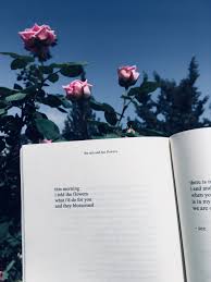 Download and use 30000+ book aesthetic stock photos for free. Books Tumblr Aesthetic Wallpapers Top Free Books Tumblr Aesthetic Backgrounds Wallpaperaccess