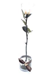 Do you want to make a lasting impression with someone really special? Classic Forever Rose White In Glass Gemma Bloom