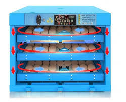 Tr36 turkey, duck, or peafowl egg tray. 5 Best Cabinet Incubators Reviewed Aug 2021