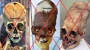 Image result for Tridactyle inaequilonga