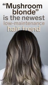 Mushroom Blonde Is The Newest Low Maintenance Hair Color Trend For Blondes And Brunettes Low Maintenance Hair Mushroom Hair Brown Hair Trends