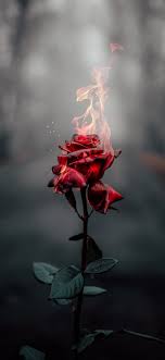 Here are 10 sites with stunning images for your laptop, tablet or mobile device. Aesthetic Wallpapers Top 85 High Quality Aesthetic Backgrounds Download