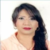 50+ "Carol Ruiz" profiles