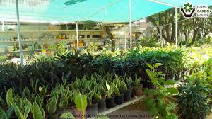 Garden meaning in hindi : Home Garden House