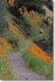 Hite Cove Hiking Information Yosemite Hikes Yosemite Park Yosemite