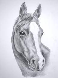 Beautiful And Easy Drawings To Draw Of Horses With Images Horse Drawings Horse Head Drawing Horse Sketch