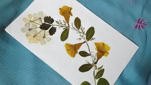 Coral, yellow and purple rose flowers on cards. Dry Flower Art Greeting Card Making Tutorial Diy Youtube