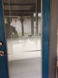 First, use a ruler to determine the diameter of the string. A Door With Built In Blinds And The String Broke On One Fix Or Hide Hometalk