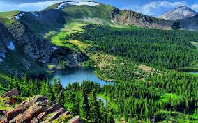 We did not find results for: Mountain Landscape Lake Pine Forest Background 3840x2400 Wallpapers13 Com