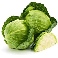 Cabbage (Green)