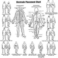 Placement Of Electrodes For Tens Unit Google Search Tens