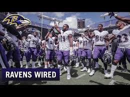 A large bird of the northern hemisphere, having black plumage and a croaking cry. Ravens Wired Week 1 Ravens Vs Browns Bring Your Own Energy Youtube