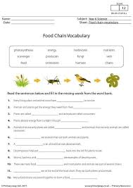 Food Chain Vocabulary Worksheet Food Chain Food Chain Activities Science Worksheets