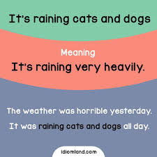 Do You Like Heavy Rains Idioms English Learnenglish English Vocabulary Words English Idioms English Phrases