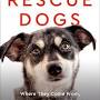 Rescue Dogs from www.amazon.com