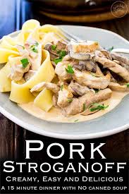 Just to add to the flavor i placed a foil packet of dry apple wood chips (not chunks) over the front burner and kept the grill temperature at 350 degrees. Pork Stroganoff With Buttered Noodles This Pork Stroganoff Is The Best Kind Of Comfort Foo Pork Loin Recipes Leftover Pork Loin Recipes Leftover Pork Recipes