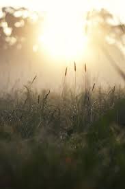 Every Morning Was A Cheerful Invitation To Make My Life Of Equal Simplicity And I May Say Innocence With Nature Hersel Nature Photography Photography Scenery