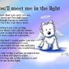 Your candle includes a free tribute as well as a free online book where others can leave you messages. Https Encrypted Tbn0 Gstatic Com Images Q Tbn And9gcsvqnlapov1mp5zsw5nl4u0iklxpw7jmqicageq Iquijrgg1cf Usqp Cau