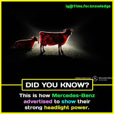 Pin By Sai Sreya 7 On Amazing Facts Psychology Fun Facts True Interesting Facts Interesting Facts About World