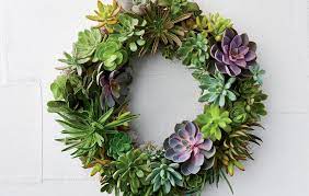 It is normal so the root system will fit inside. How To Make A Succulent Wreath Diy Instructions