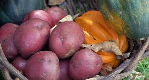 We are needy family #7. Thanksgiving Food Basket For Needy Family 7 Single Mom Smiling