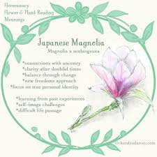Florasphere Flower Meanings Botanical Flowers Flower Beauty