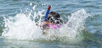 Badeseen In Koln Und Umgebung Bleibtreusee In Bruhl Koeln De