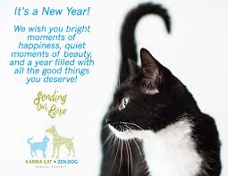 Happy New Year Happy New Year Dog Happy New Year Funny Zen Dog