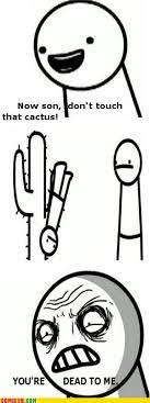 Home forums minecraft servers now son, don't touch that cactus! Untitled Asdf Movie Funny Pictures With Words Funny Memes