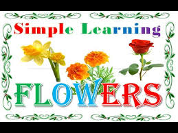 List of flower names with pictures of flowers and example sentences. Learn Flowers Name With Picture Audio Flowers Name Video For Children Youtube