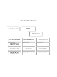 Human Resources Organizational Chart 6 Free Templates In