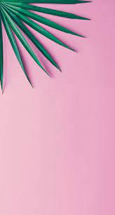 Whatsapp arka plan duvar kağıtları whatsappınızda arkadaşlarınızla mesajlaşırken kendi ruh halinizi yansıtmak için kullanabilirsiniz. Zumar Qasimova00 Adli Kullanicinin Iphone X Wallpapers Panosundaki Pin Iphone Arkaplanlari Arkaplan Tasarimlari Poster Tasarimlari