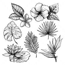 Scandinavian style cartoon floral texture. Tropical Leaves Set Tropical Flower Tattoos Flower Sketches Flower Drawing