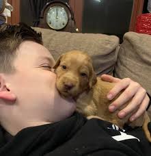 Membership requirements for tha dogg pound group