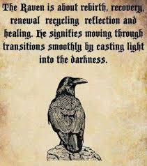 What Does The Raven Symbolize Black Aesthetic Witch Aesthetic Black Witch Witchy Witches Witchs Vibe Mood Inspiration Animal Totems Raven Black Bird